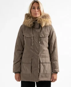 Sun Valley Ystria Chataigne Sale